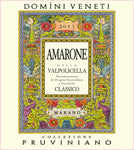 Amarone della Valpolicella Classico Docg Collezione Pruviniano 2019 - Domini Veneti  BOX 12 BOTTLE